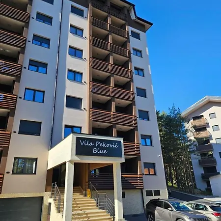 Apartment Vila Pekovic Blue Apartman A9 Zlatibor