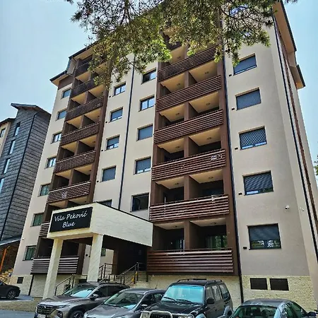 Vila Pekovic Blue Apartman A9 * Zlatibor