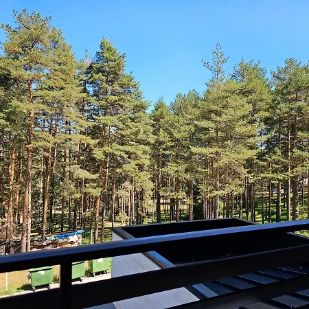 Vila Pekovic Blue Apartman A9 Apartment *