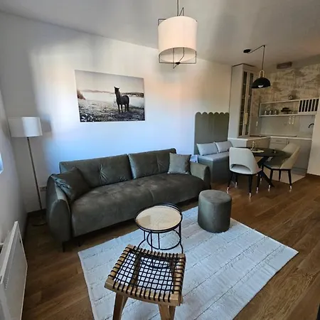 Vila Pekovic Blue Apartman A9 * Zlatibor