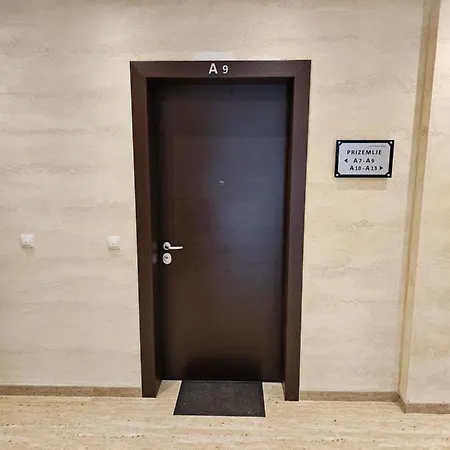 Vila Pekovic Blue Apartman A9