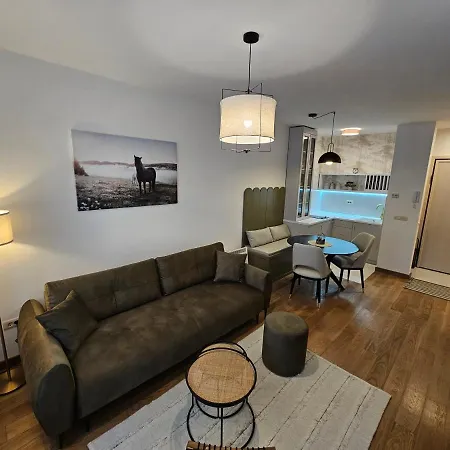 Apartment Vila Pekovic Blue Apartman A9