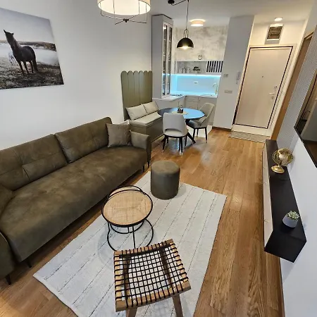 Vila Pekovic Blue Apartman A9 Zlatibor