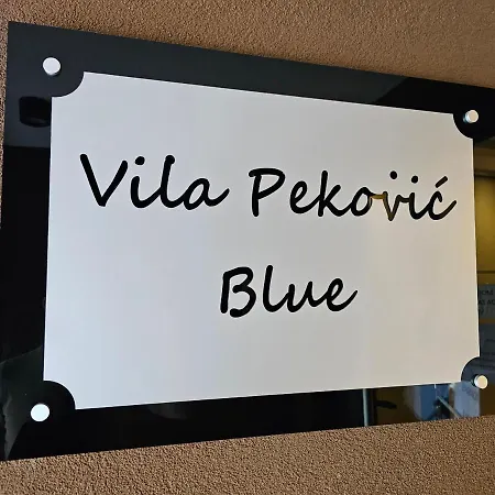Vila Pekovic Blue Apartman A9 * Zlatibor